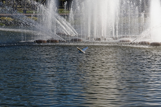 Promenade à Suan Luang avec Potter-031